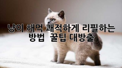 냥이 해먹 쾌적하게 리필하는 방법🐾 | 꿀팁 대방출!