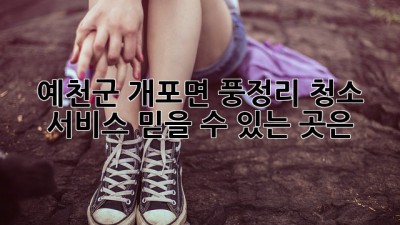 예천군 개포면 풍정리 청소 서비스, 믿을 수 있는 곳은?